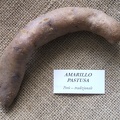 Amarillo Pastusa