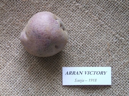 Arran victory