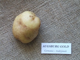 Augsburg gold