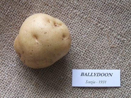 Ballydoon