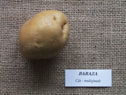 Baraza