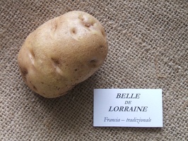 Belle de Lorraine