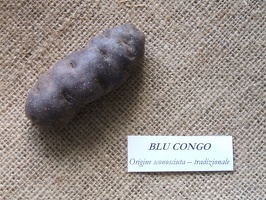 Blu Congo