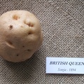 British Queen