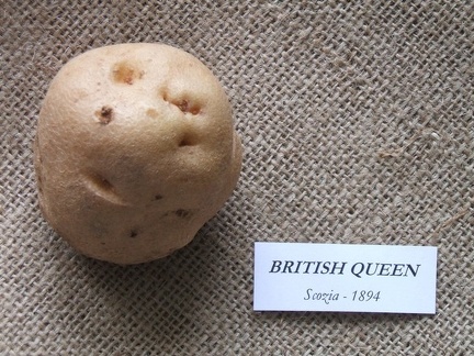 British Queen