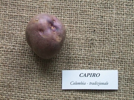 Capiro