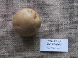 Charles Downing