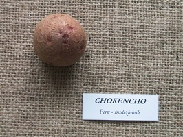 Chokencho