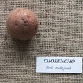 Chokencho