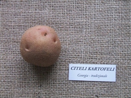 Citeli kartofeli