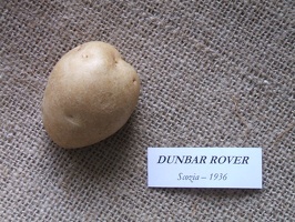 Dunbar rover