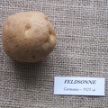 feldsonne