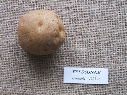 feldsonne