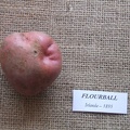 flourball