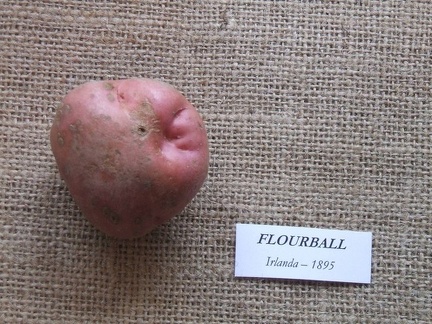 flourball