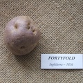 fortyfold