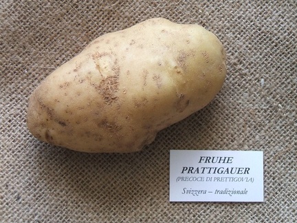 fruheprattigauer