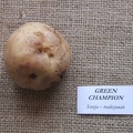 green champion