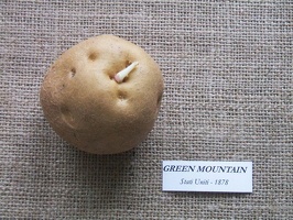 green mountain