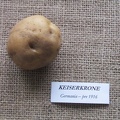 keiserkrone