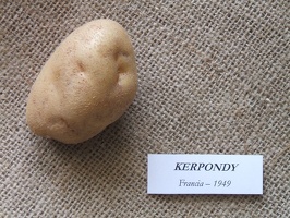 kerpondy