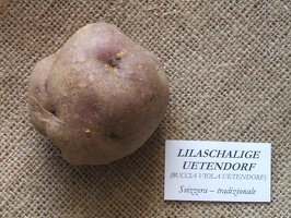lilaschaligeuetendorf