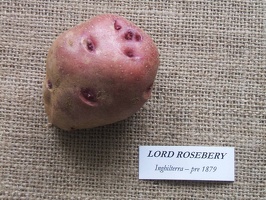 lord rosebery