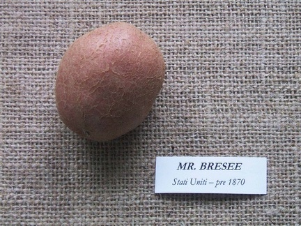 mr bresee