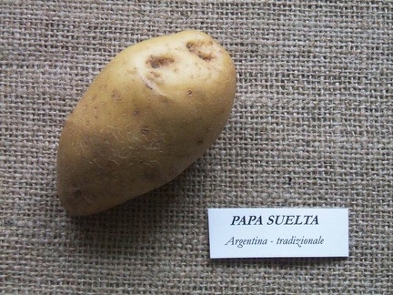 papa suelta