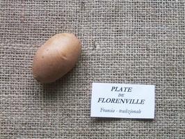 plate de florenville