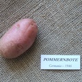 pommernbote