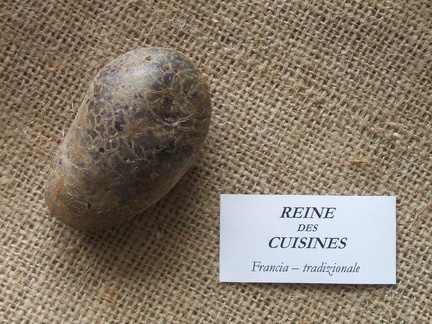 reinecuisines