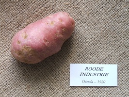 Roode industrie 
