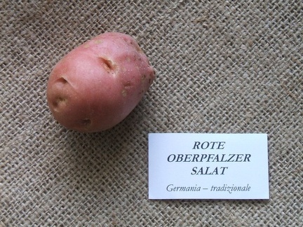 Rote oberpfalzer salat 