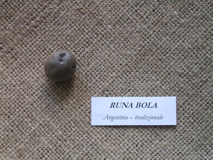 Runa Bola