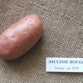 Saucisse Rouge