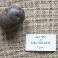 Scura di Calizzano