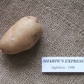 Sharpes Express