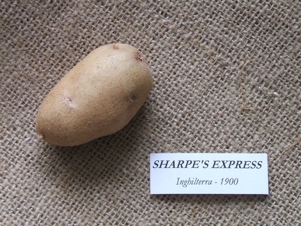 Sharpes Express