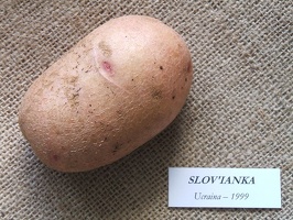 Slovianka