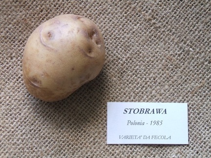 Stobrawa