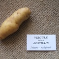 Virgule de la beroche 