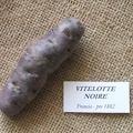 Vitelotte noire 