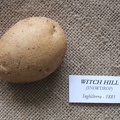 Witch Hill