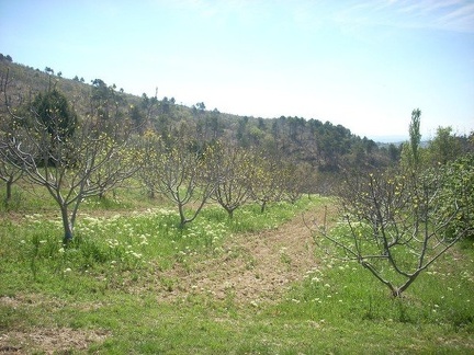 Corso in Provenza