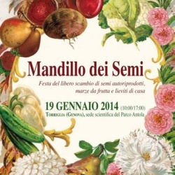 19/01/2014 - Mandillo dei semi