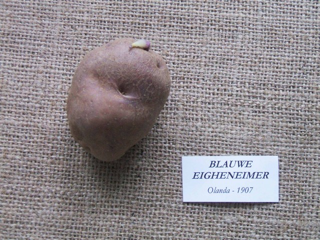 blauwe eigheneimer.jpg