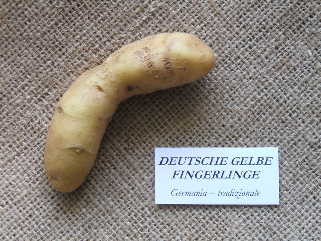 deutschegelbefingerlinge.jpg