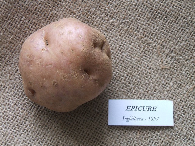 epicure.jpg