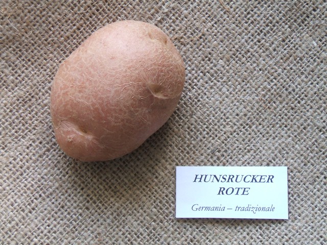 hunsruckerrote.jpg